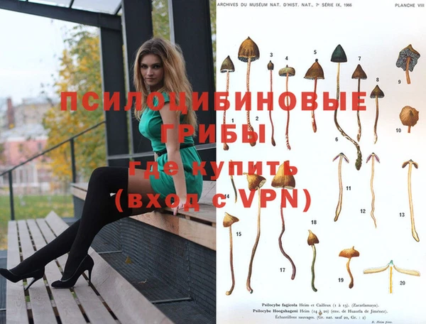 кристаллы Липки
